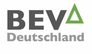 Dachfenster Austauch